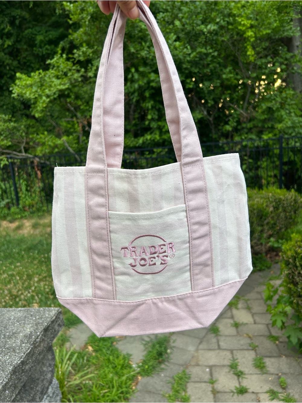 NWT Trader Joe’s mini tote bag